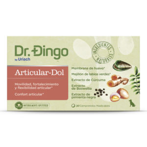 dr dingo articular dol