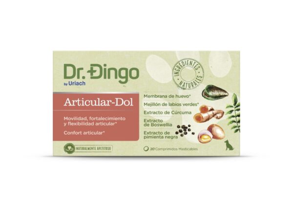 dr dingo dr dingo articular dol