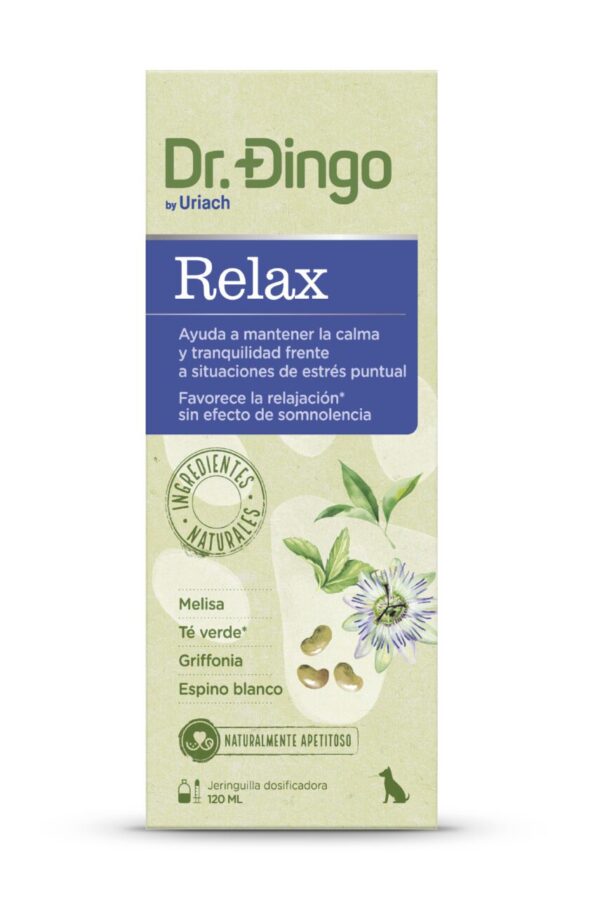 dr dingo relax