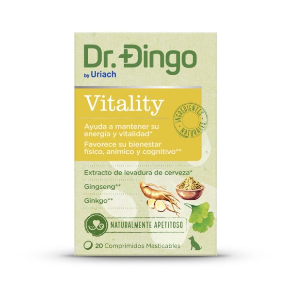 dr dingo vitality