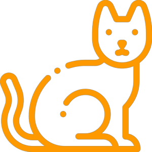 Gatos
