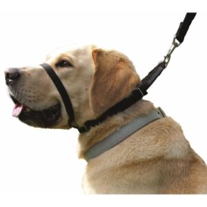 Collar de Adiestramiento anti tirones Canny Collar - Imagen 2