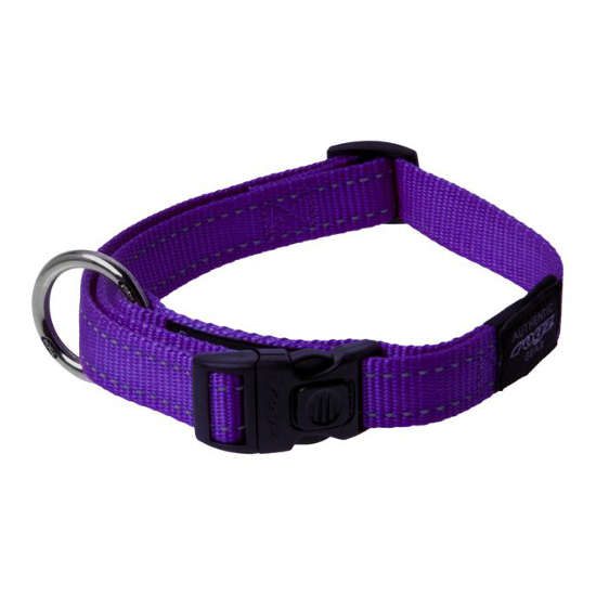 Collar-para-perros-Rogz-morado.jpg